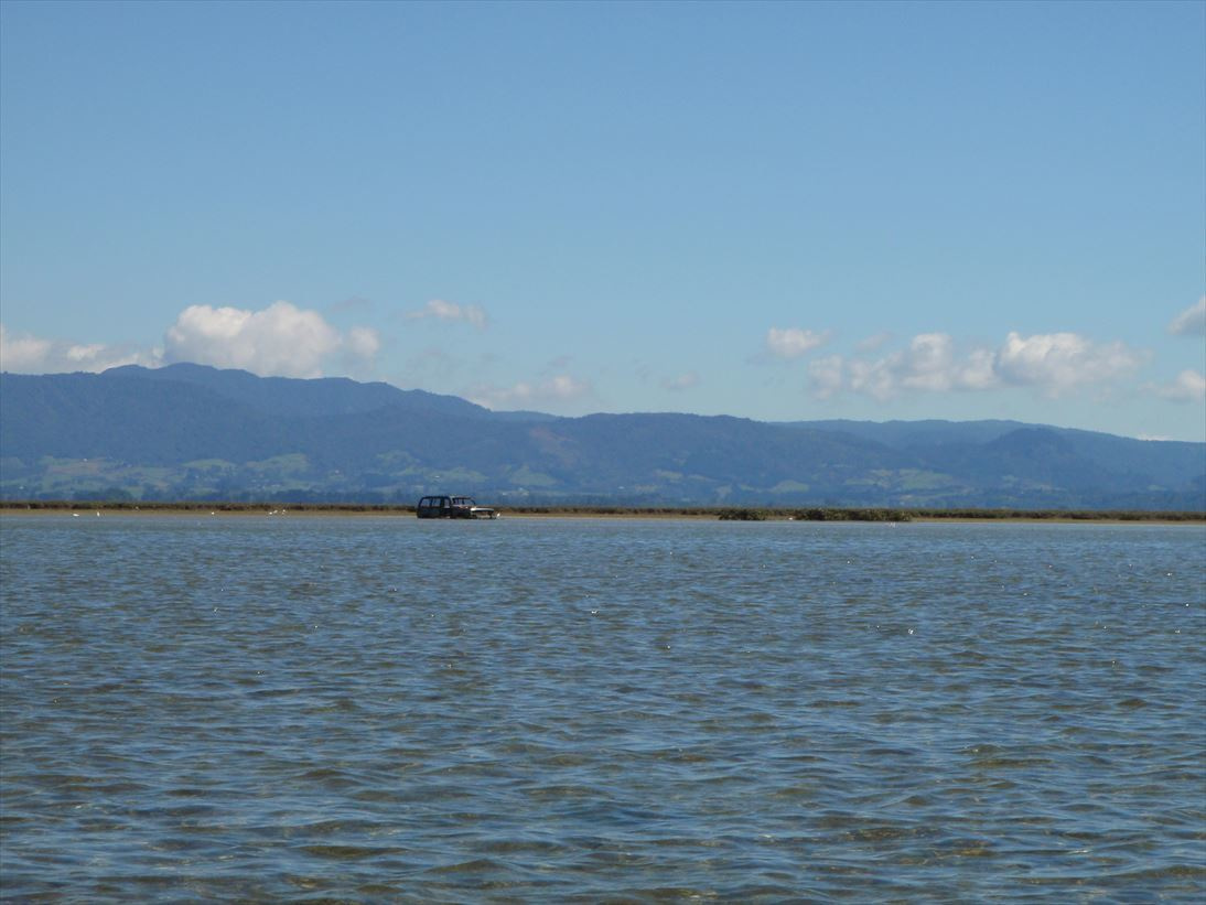 p3190442_r.jpg