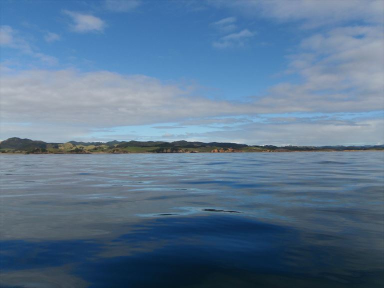 p4111309_r.jpg