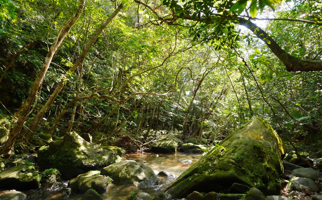 dsc07892.jpg
