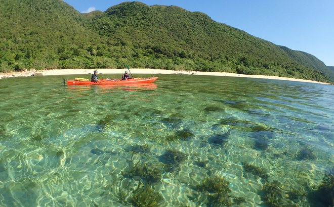 pa311107.jpg