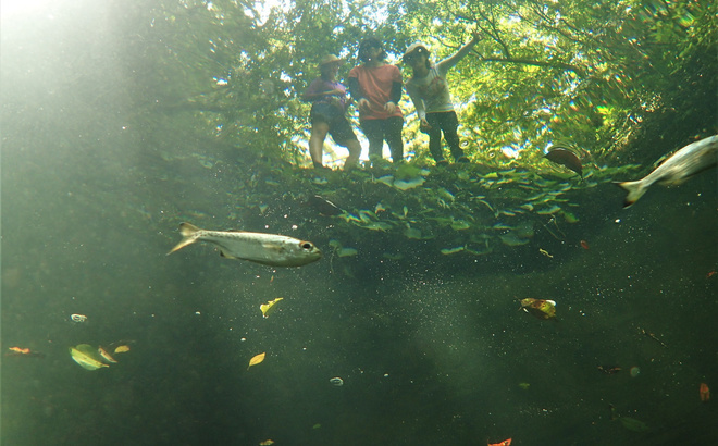 p9073320.jpg